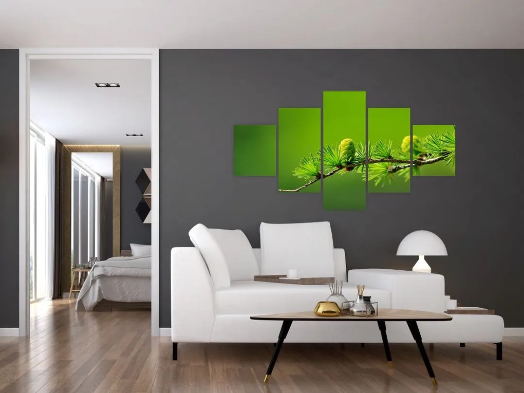 Obraz zielonej szyszki (125x70 cm)