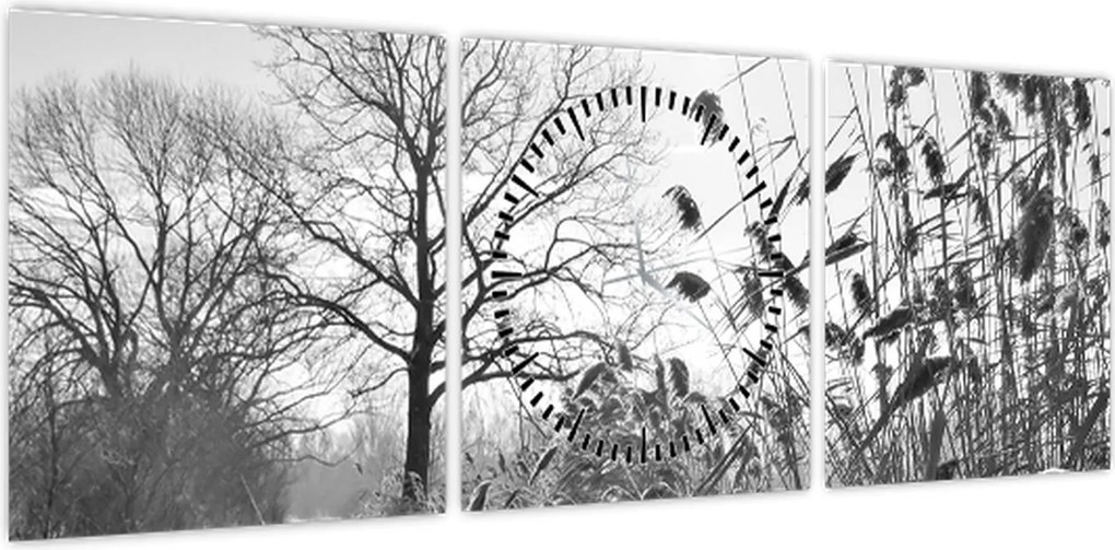 Obraz - Pola w zimie (z zegarem) (90x30 cm)