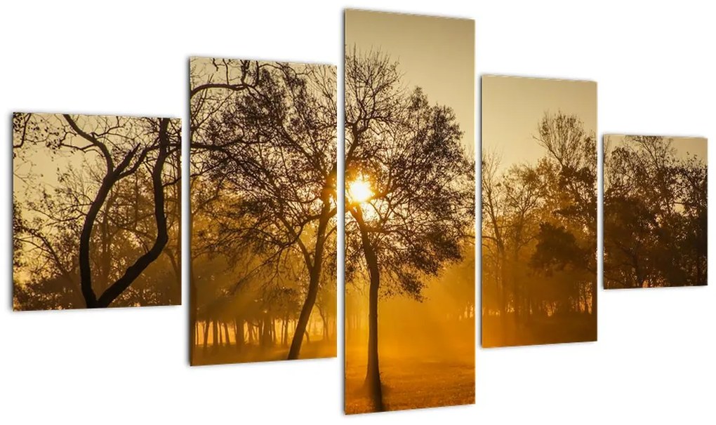 Obraz - Wschód słońca (125x70 cm)