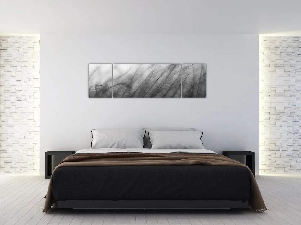 Obraz - Trawa na wietrze (170x50 cm)