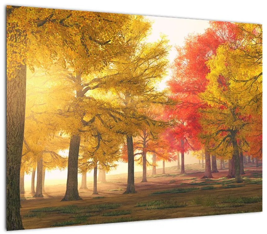 Obraz jesiennych drzew (70x50 cm)