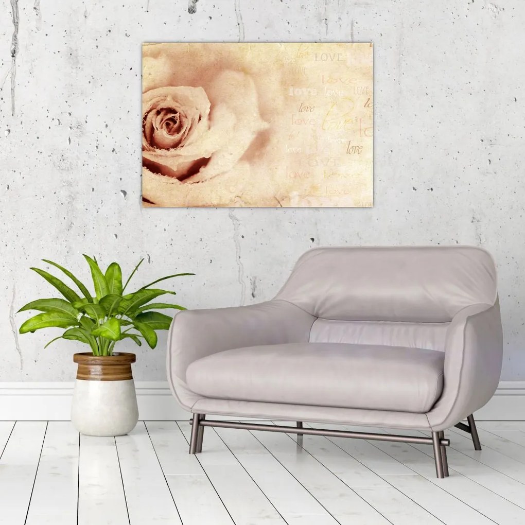 Obraz - Kwiat róży dla zakochanych (70x50 cm)