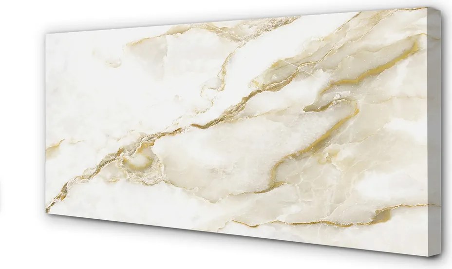 Fotoobraz na płótnie Płytka Marmurowa w Zbliżeniu
