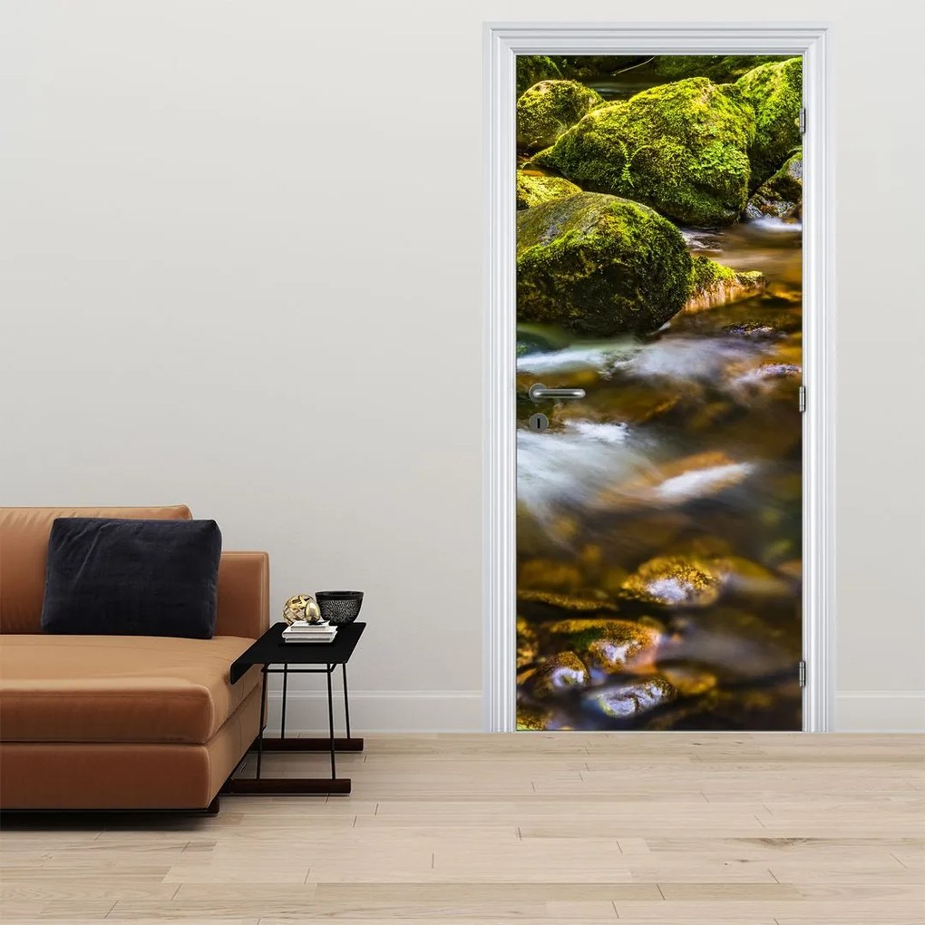 Fototapeta na drzwi - Strumień (95x205cm)