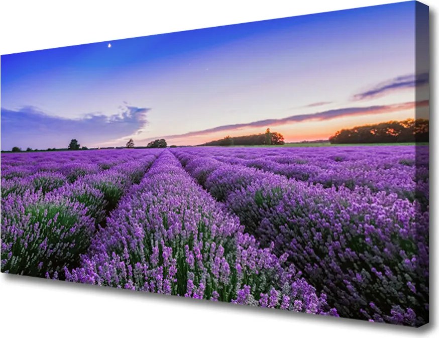 Obraz na płótnie Letnia Łąka Pełna Kwiatów