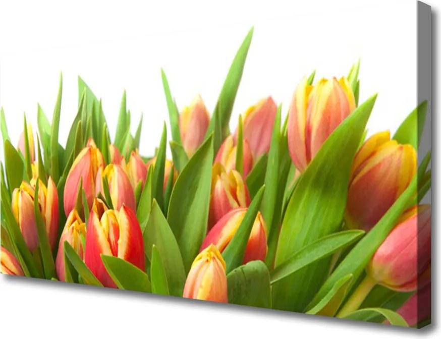 Obraz canvas Klasyczny Bukiet Tulipanów