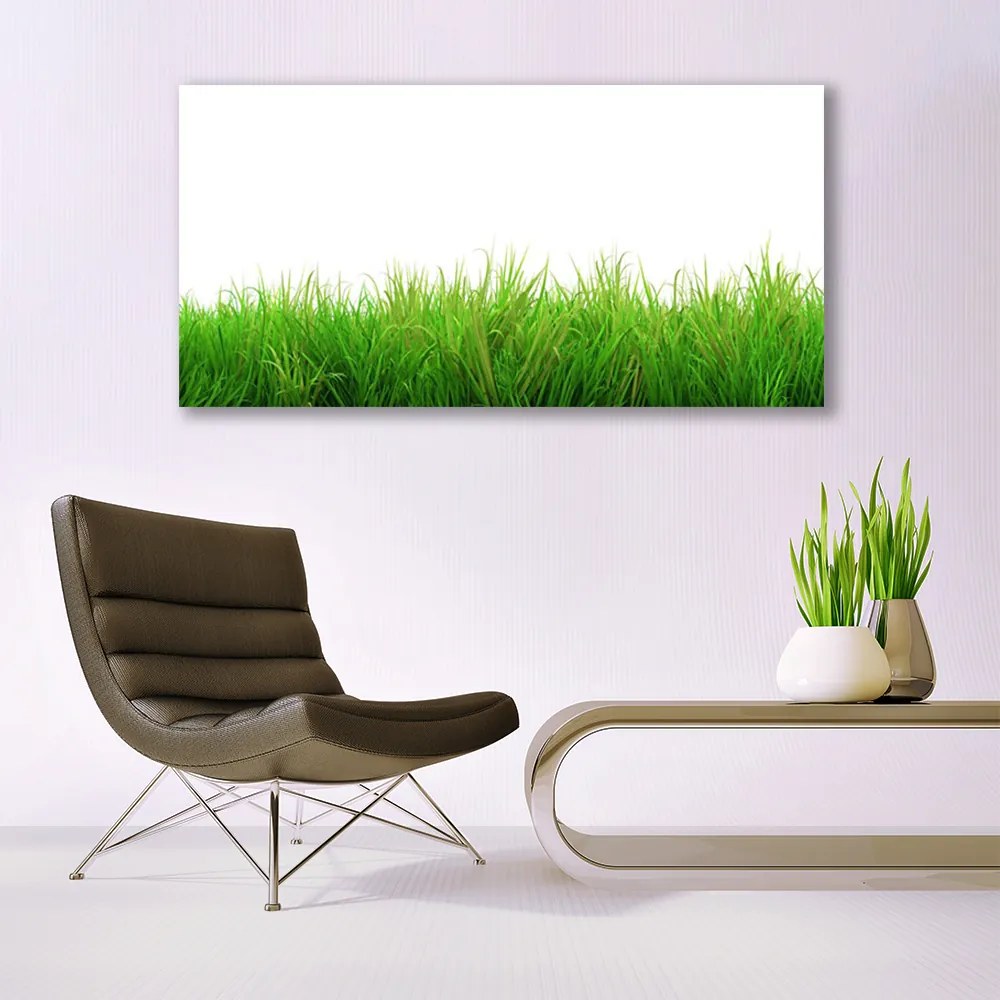 Obraz canvas Soczysta Zielona Trawa