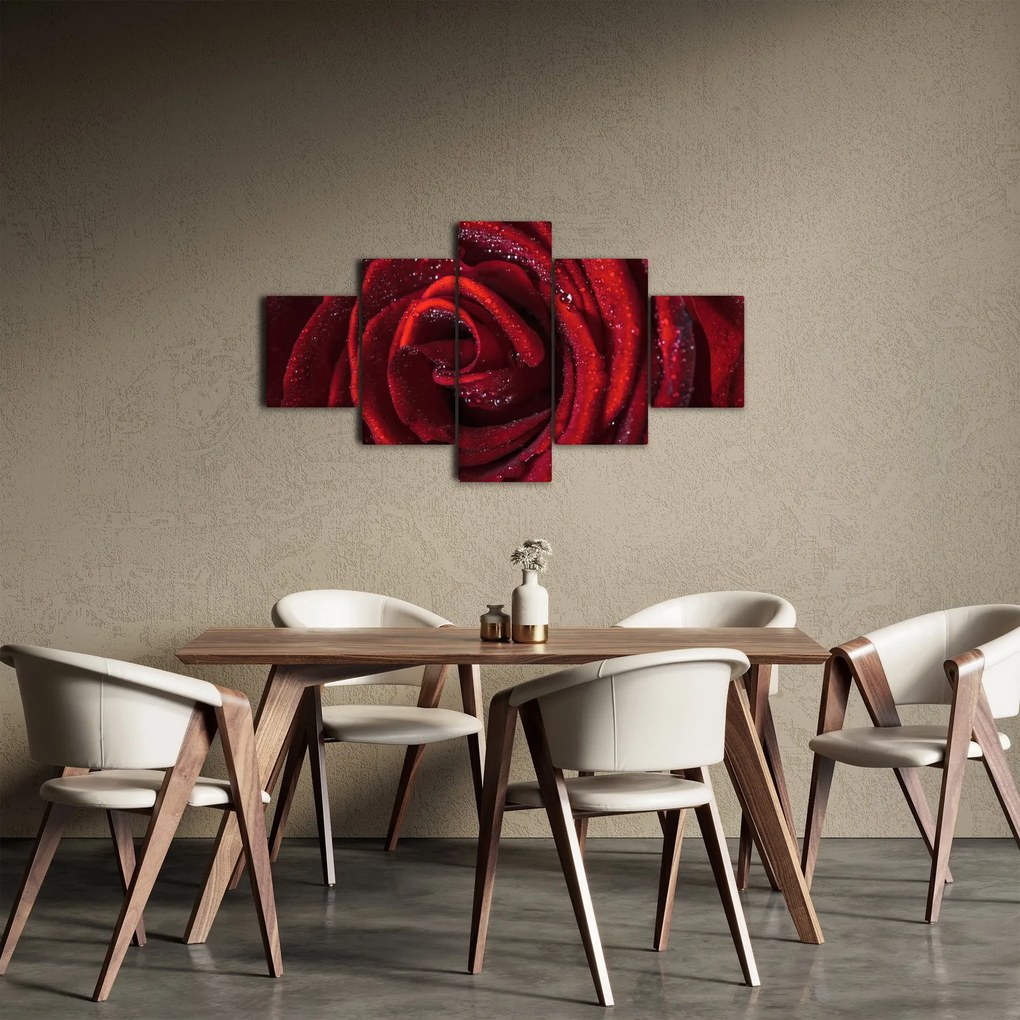 Obraz - Czerwona róża z kroplami rosy (125x70 cm)