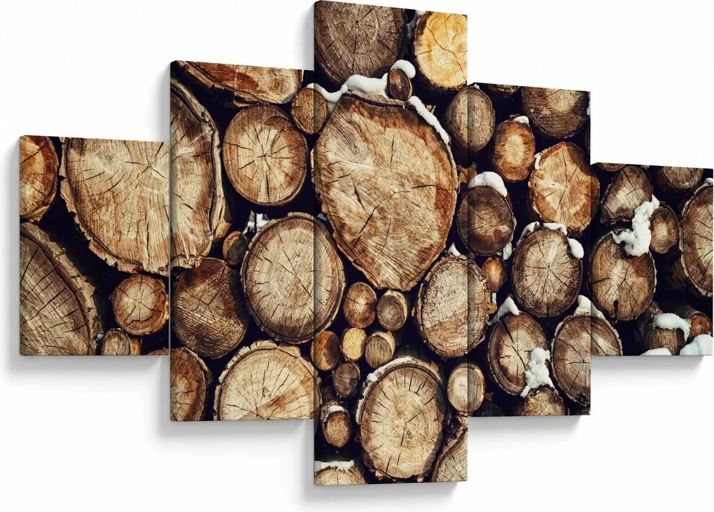 Obraz - Drewno w śniegu (125x70 cm)