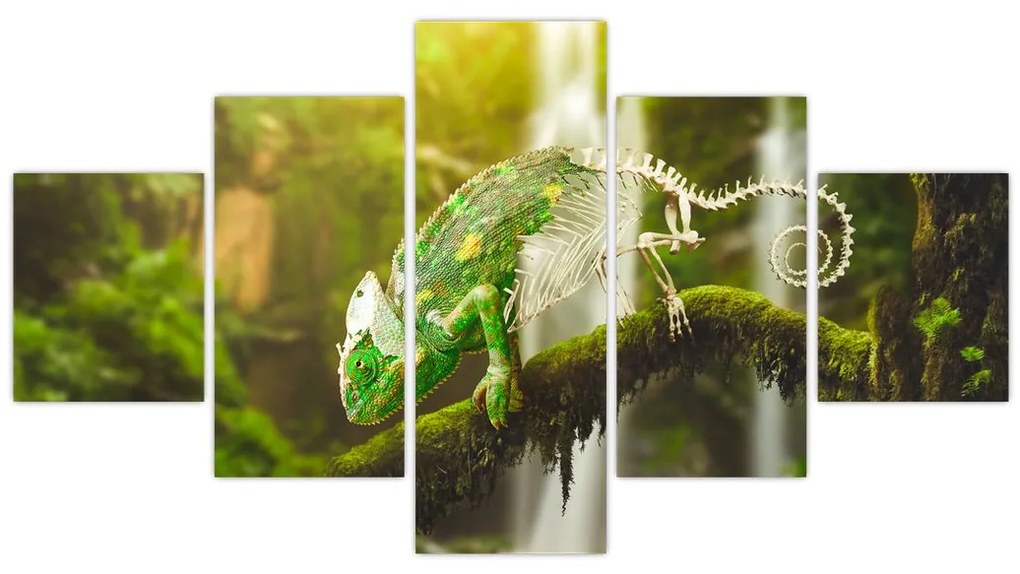 Obraz jaszczurki (125x70 cm)