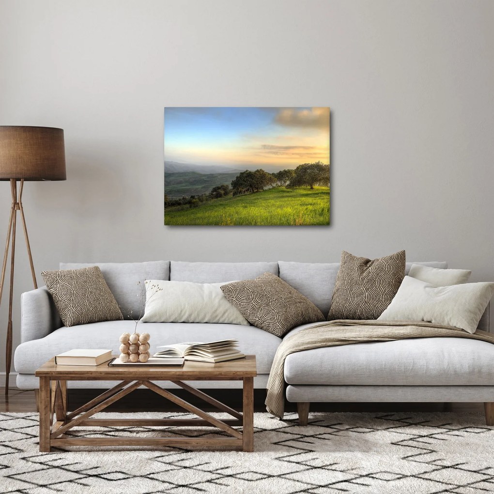 Obraz - Widok ze wzgórza (70x50 cm)