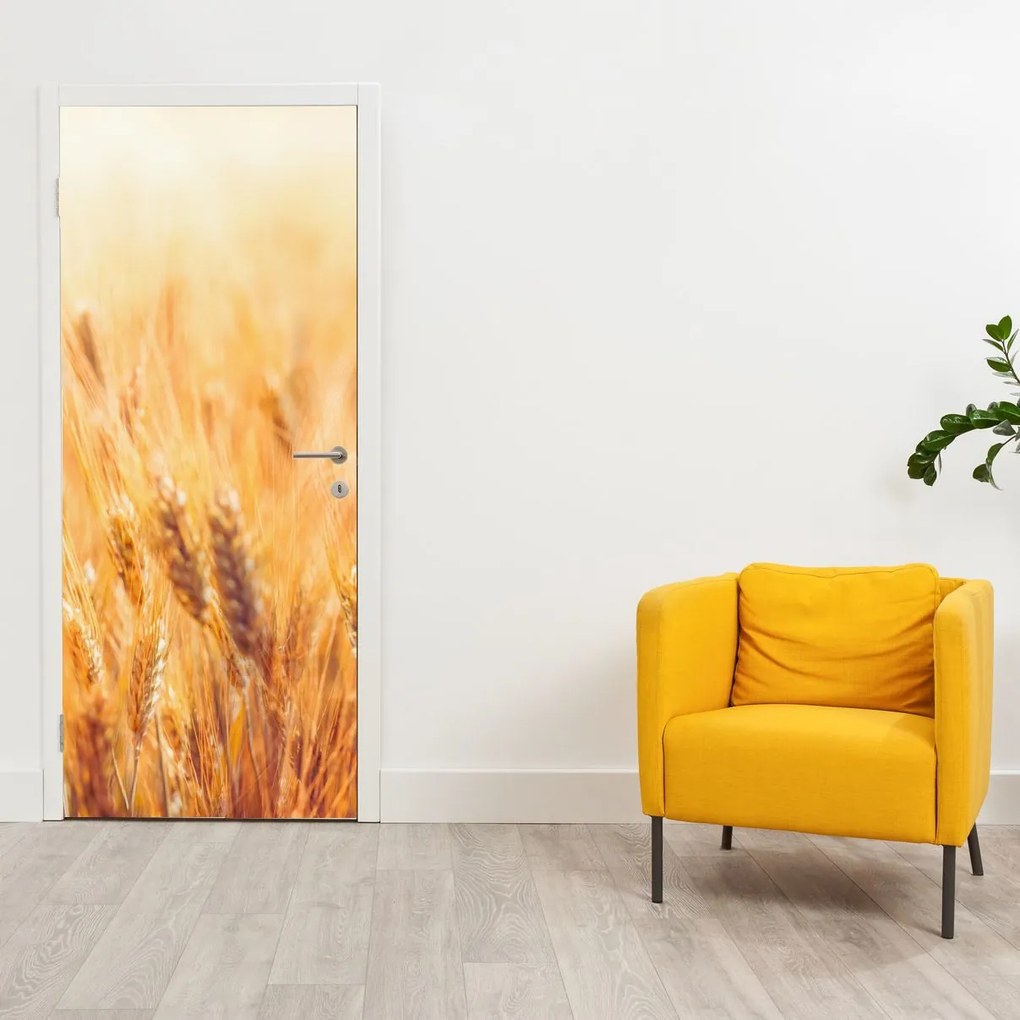 Fototapeta na drzwi - Pole ze zbożem (95x205cm)