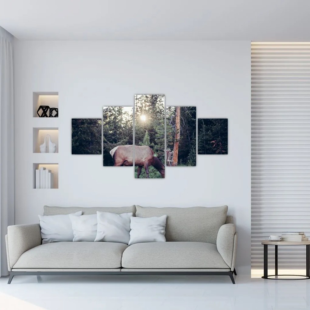 Obraz - Łoś na polanie (125x70 cm)