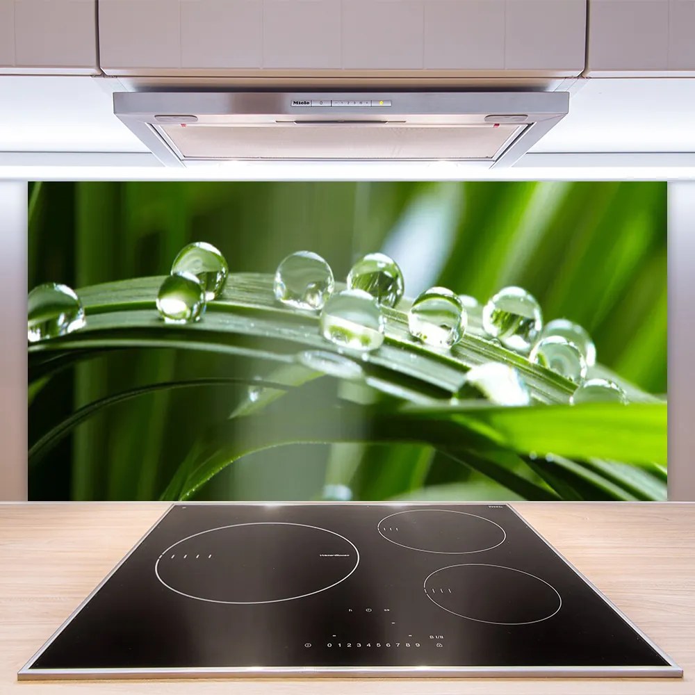 Panel Szklany do Kuchni Krople Rosy na Źdźbłach