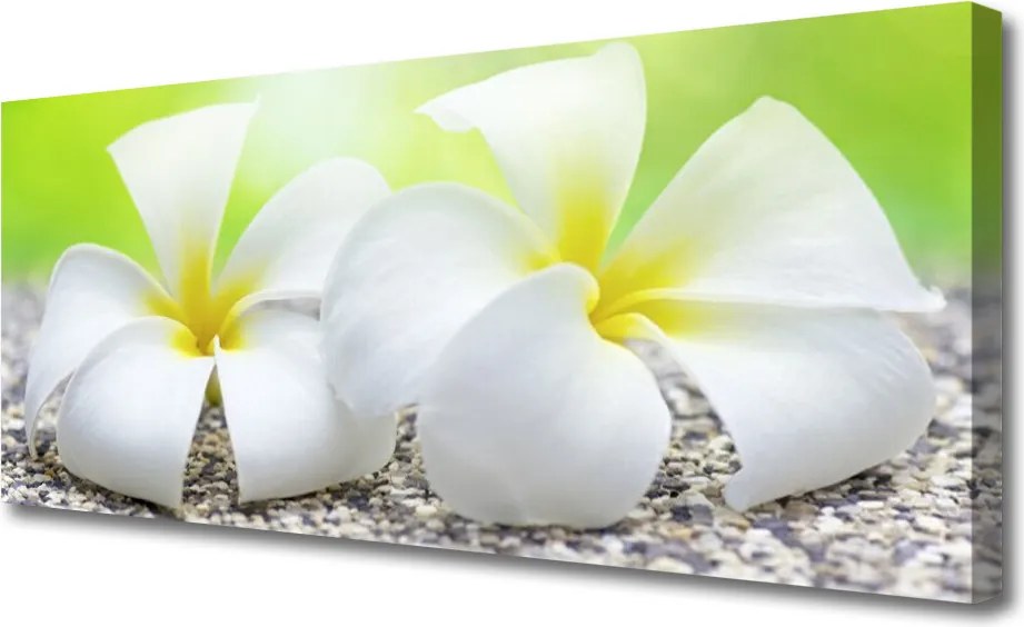 Obraz na płótnie Romantyczna Flora Ogrodowa