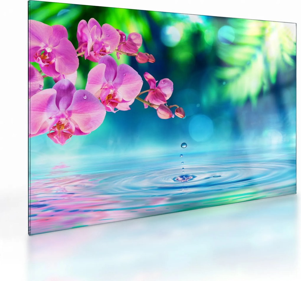 Obraz na szkle - Orchidea (70x50 cm)