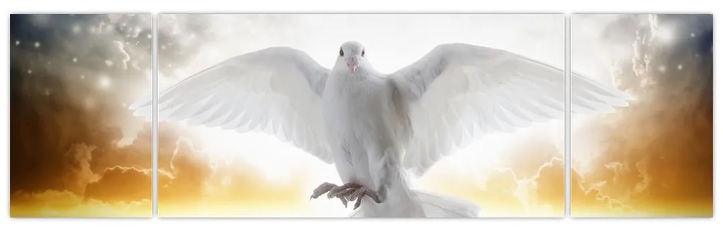 Obraz gołębicy (170x50 cm)