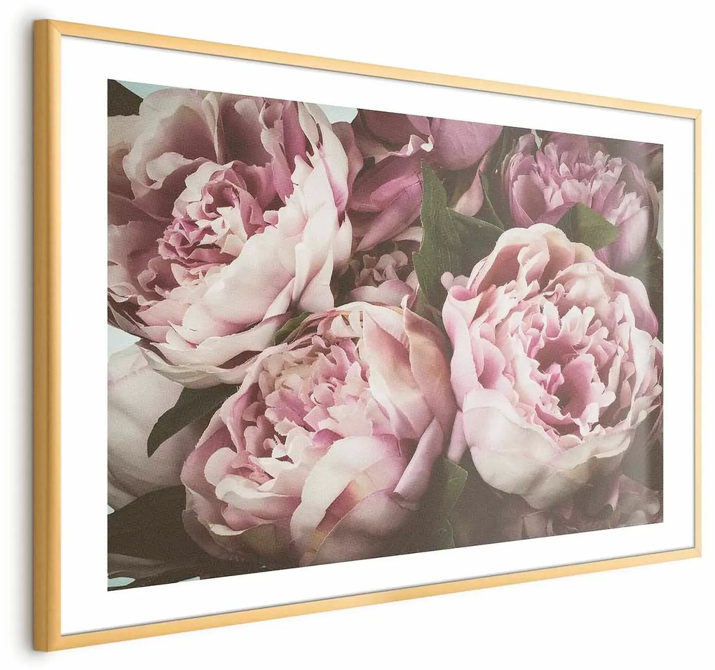 Plakat Różowe piwonie 30x21 cm z ramą złotą z marginesem ARTGEIST B