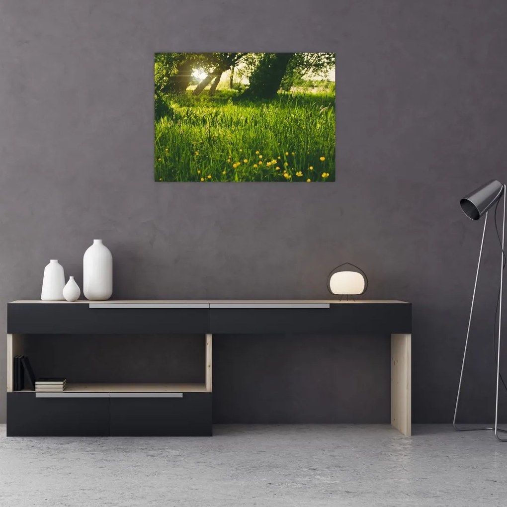 Obraz na szkle - natura - łąka (70x50 cm)