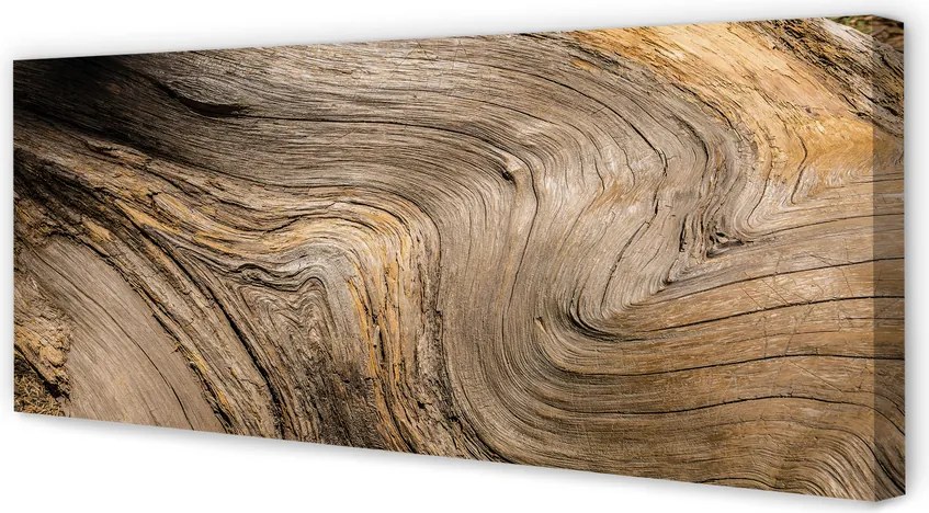 Fotoobraz na płótnie Głęboka Struktura Drewna