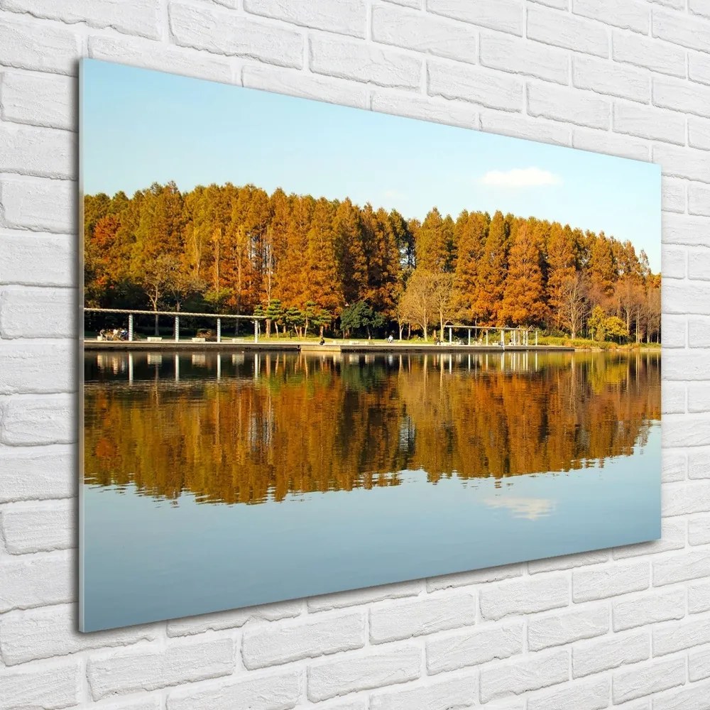 Foto obraz szklany Las nad jeziorem