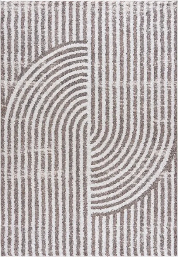 Nowoczesny dywan w stylowy wzór N2-B11