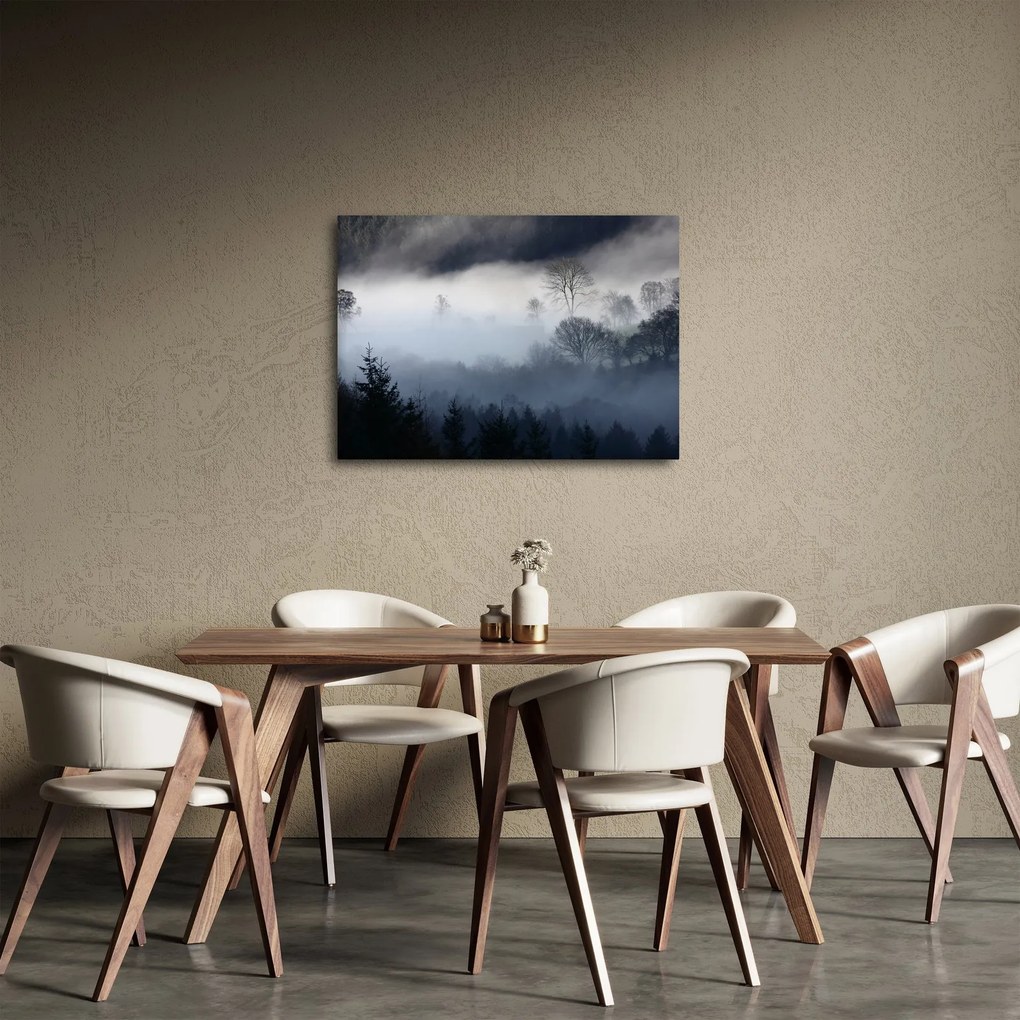 Obraz mgły nad lasem (70x50 cm)