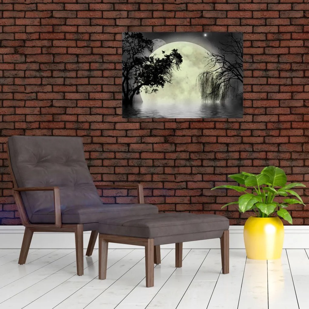 Obraz - Księżyc w pełni nad powierzchnią, wersja czarno - biała (70x50 cm)