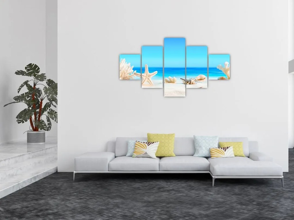 Obraz - Martwa natura z muszelkami (125x70 cm)
