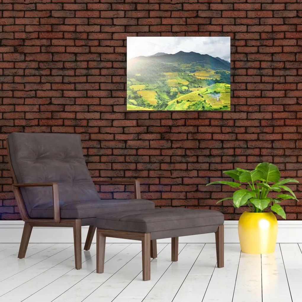 Obraz plantacji (70x50 cm)