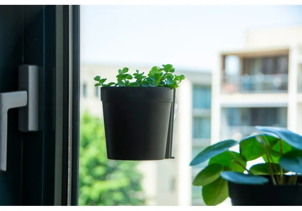 Plastikowe wiszące i ścienne doniczki zestaw 2 szt. ø 10 cm – Esschert Design