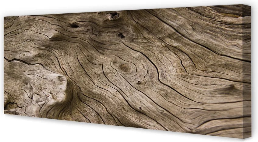 Fotoobraz na płótnie Rysunek Natury W Drewnie
