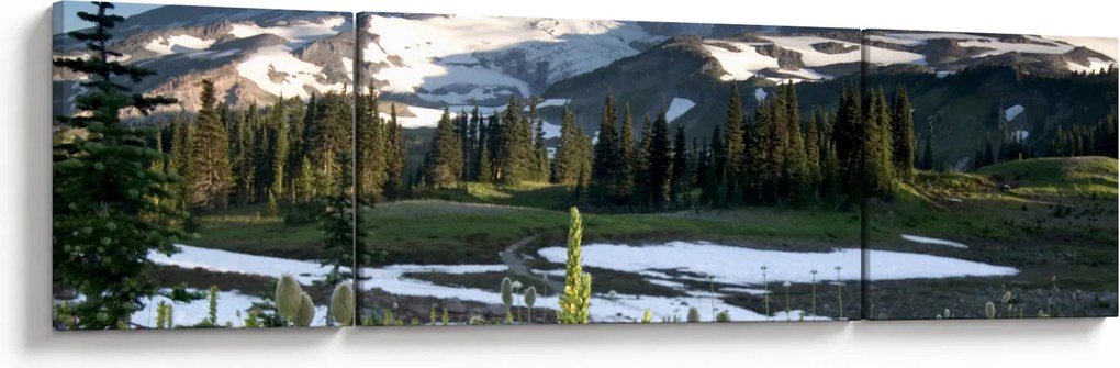 Obraz - Mount Rainier (170x50 cm)