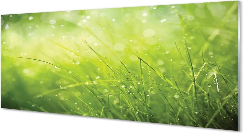 Szklany Panel Świeżość Rosy na Trawie