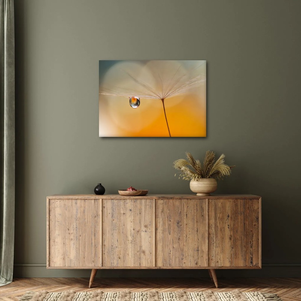 Obraz - Makro kwiat (70x50 cm)