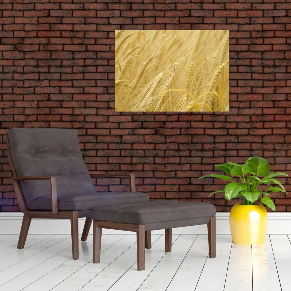 Obraz - Jęczmień (70x50 cm)