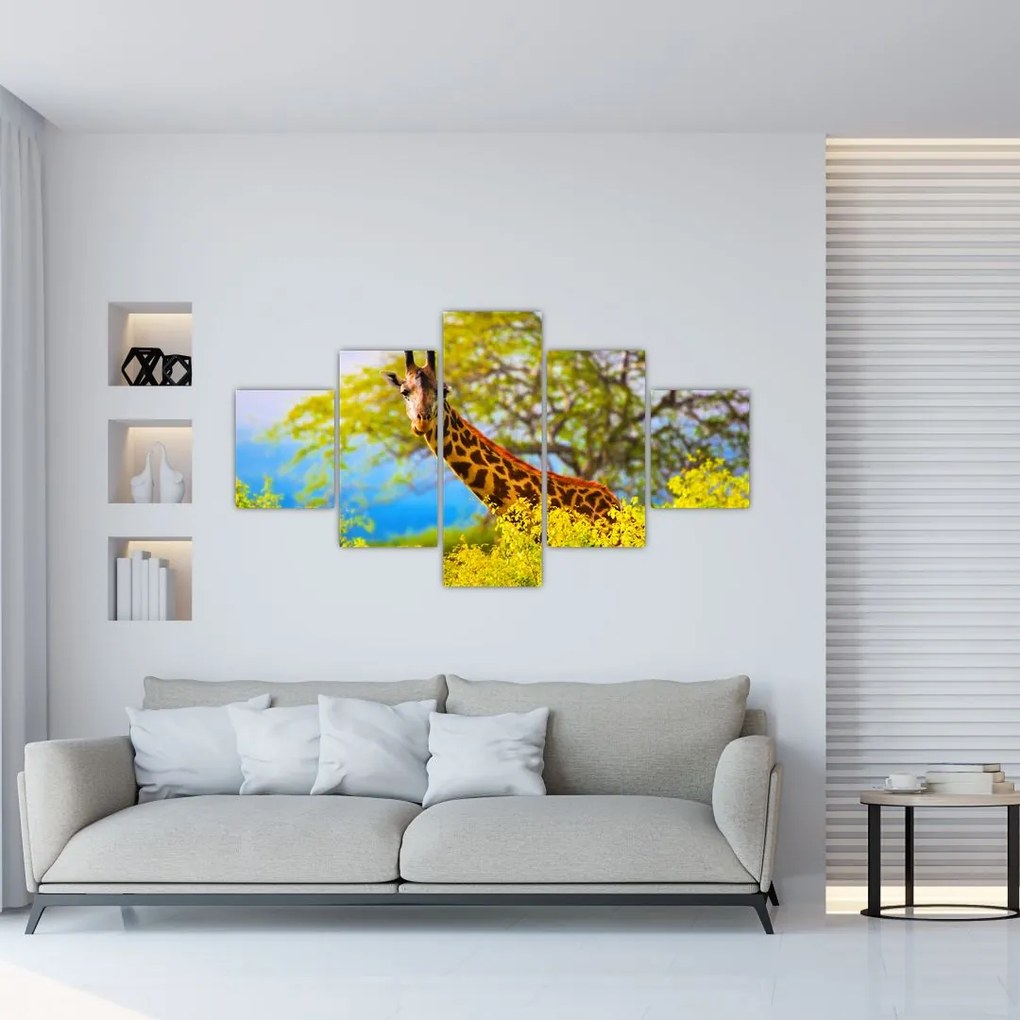 Obraz żyrafy w Afryce (125x70 cm)