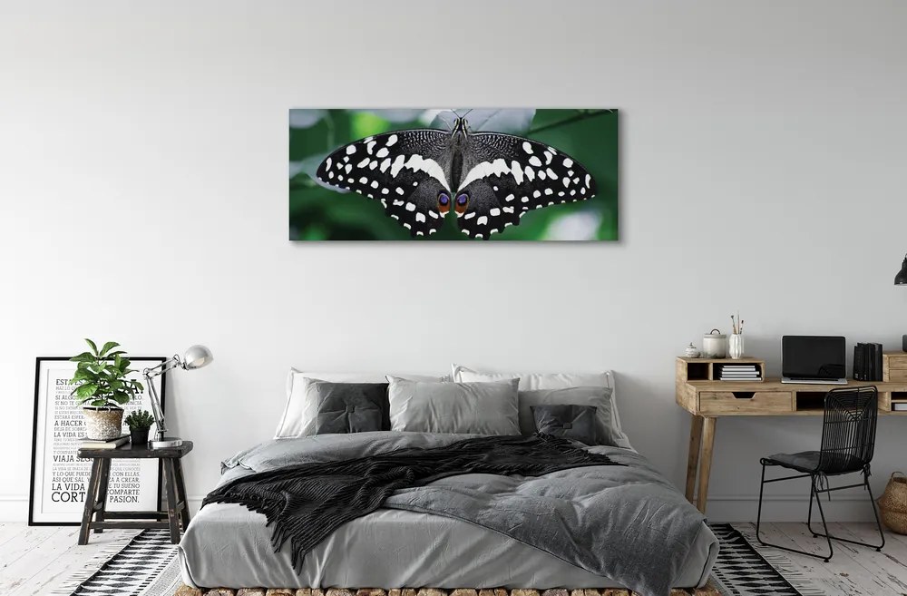 Duży obraz na płótnie Kolorowy Motyl na Liściach