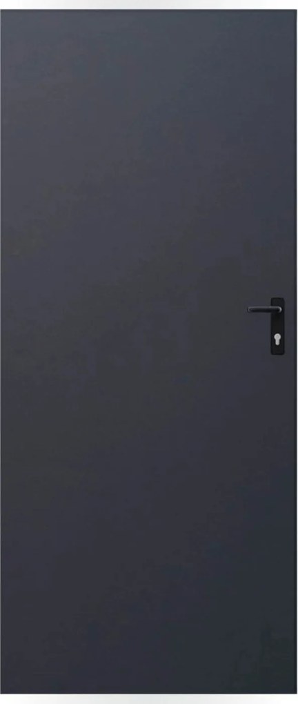 Drzwi blaszane 80, lewa, antracyt