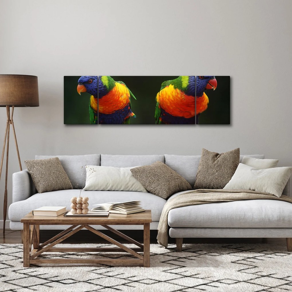 Obraz papug (170x50 cm)
