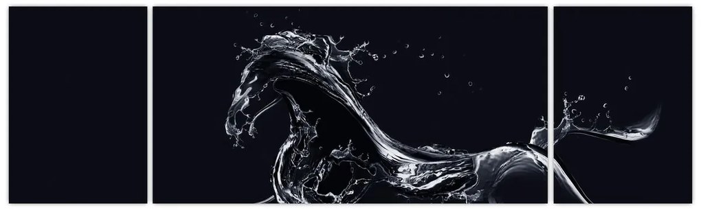 Obraz - Koń i woda (170x50 cm)
