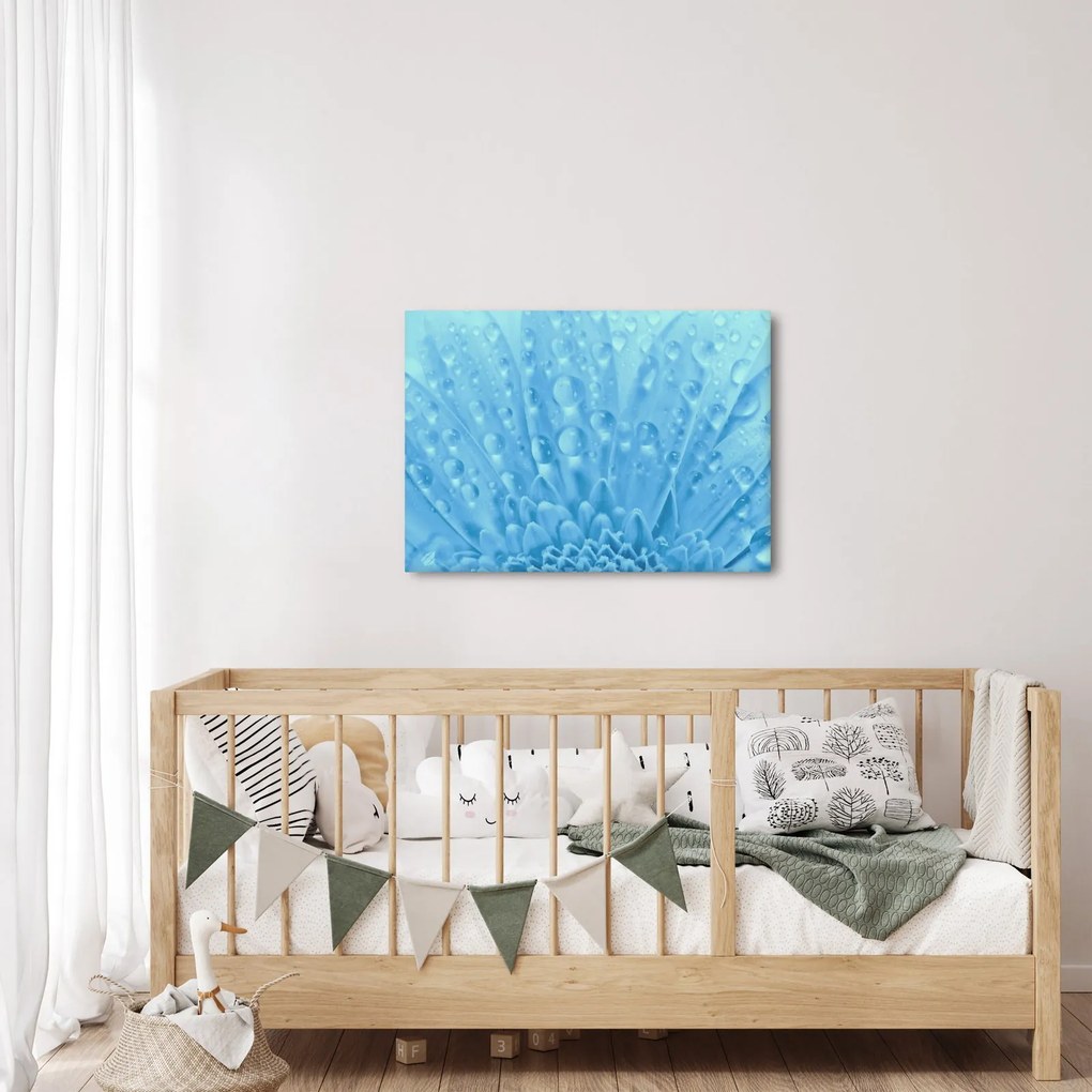 Obraz - Ujęcie makro kwiatu (70x50 cm)