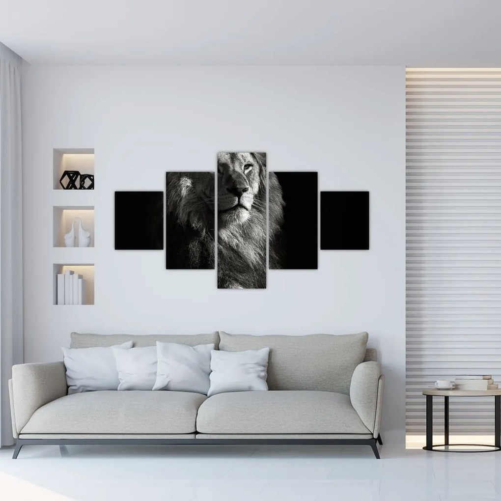 Obraz - Lew (125x70 cm)