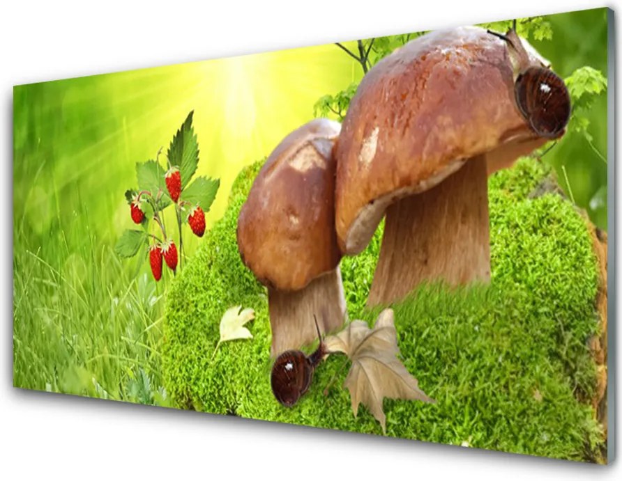 Panel Kuchenny Dary Lasu: Grzyby I Poziomki