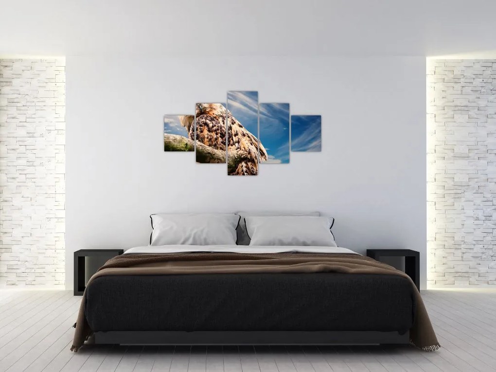 Obraz sowy (125x70 cm)