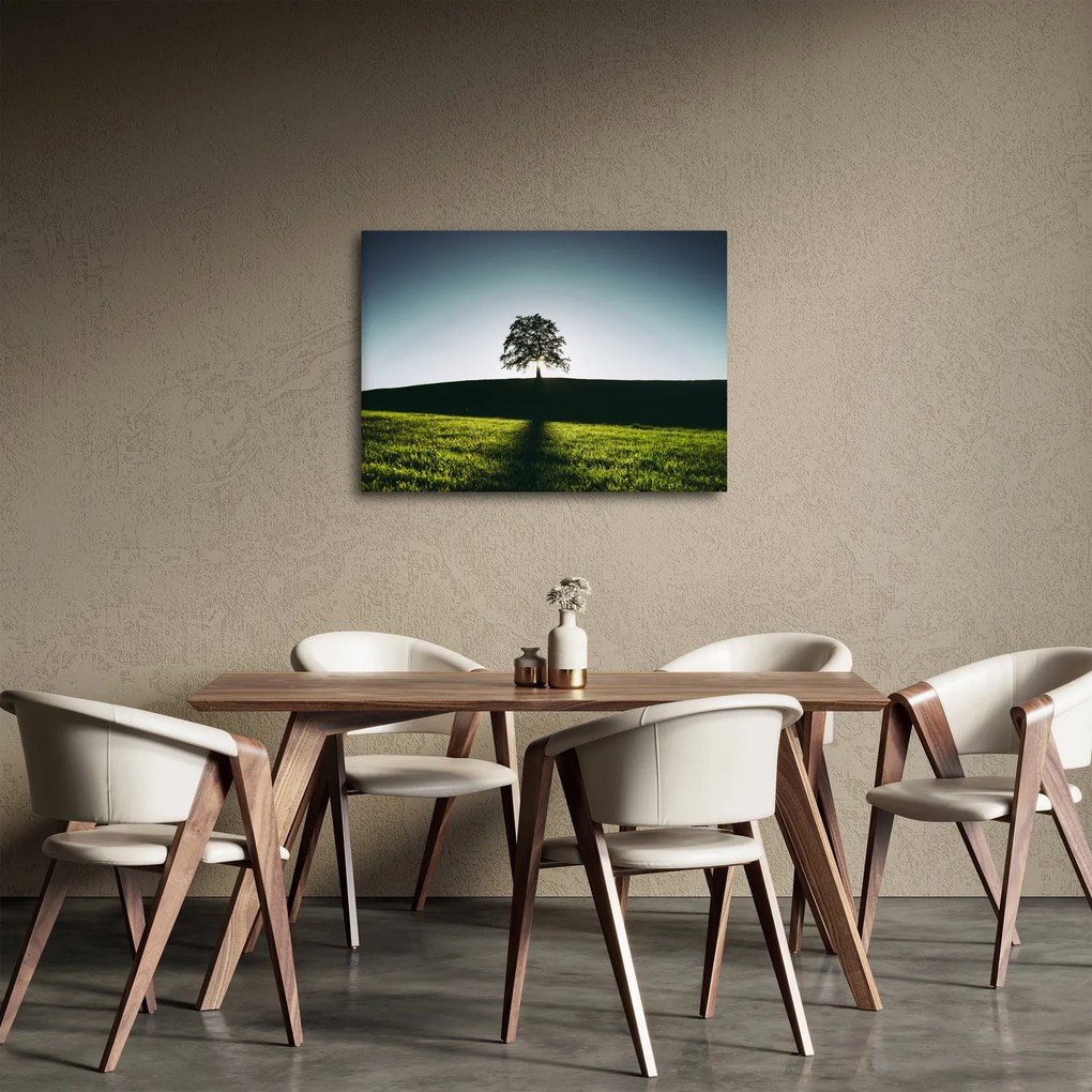 Obraz natury - drzewo (70x50 cm)