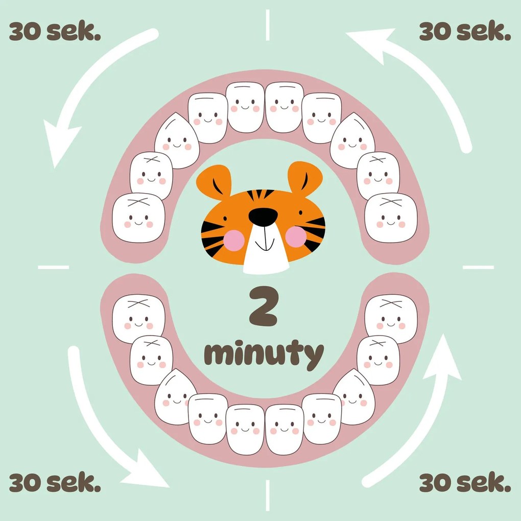 Szczoteczka soniczna elektryczna do zębów dla dzieci 3-12 lat BABY TIGER + 2 końcówki