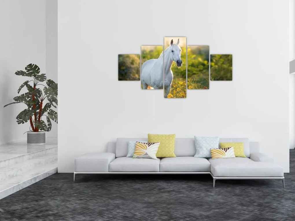 Obraz białego konia na łące (125x70 cm)