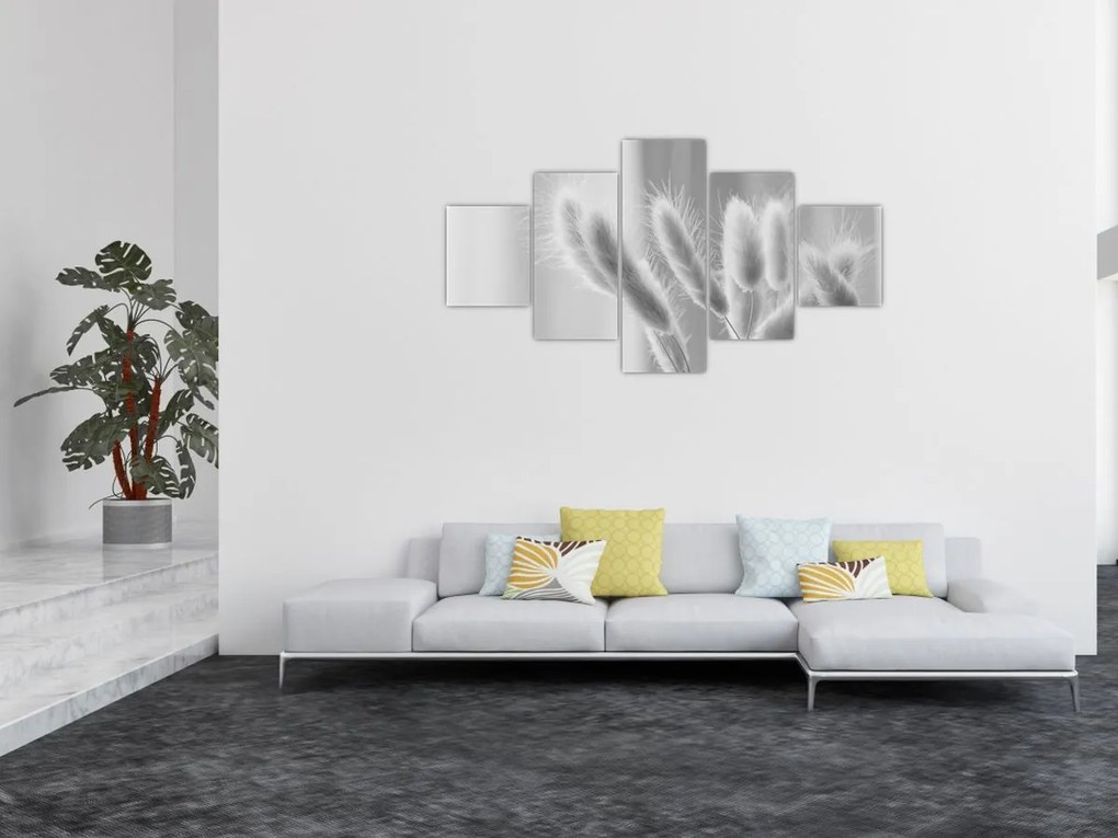 Obraz - Trawa z króliczym ogonkiem (125x70 cm)