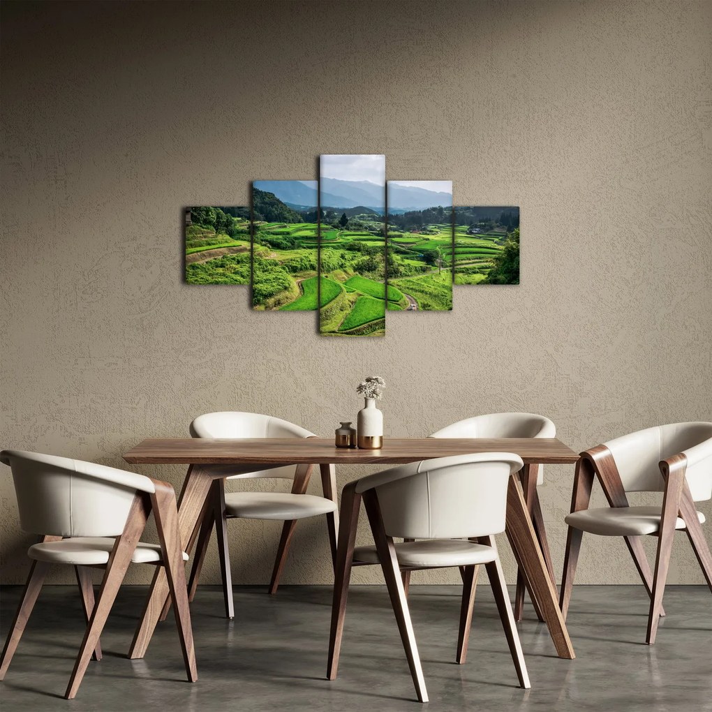 Obraz pól ryżowych (125x70 cm)